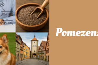 Pomezenski